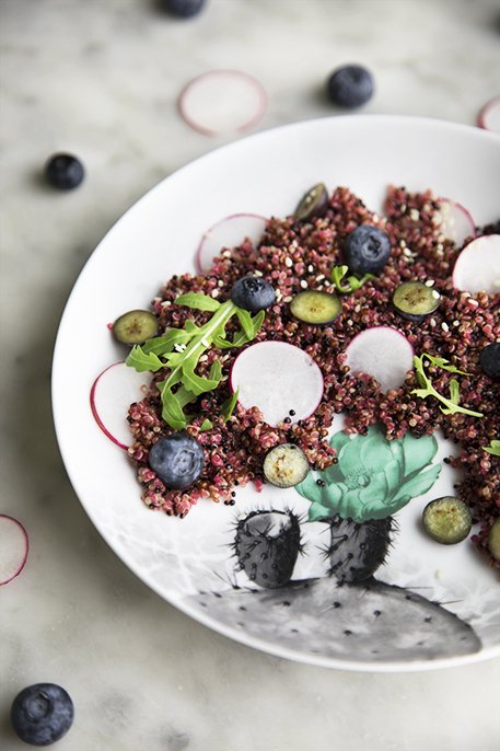 Insalata di quinoa rosa con mirtilli e rapanelli