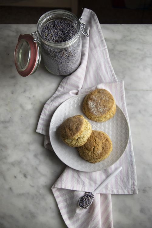 scones alla lavanda